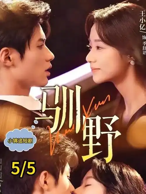 长夜灯火今日更新